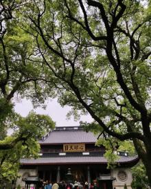岳王庙景区29