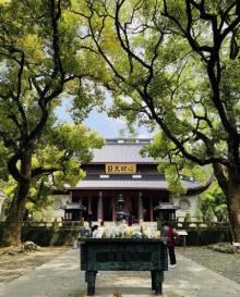 岳王庙景区27