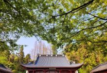 岳王庙景区17