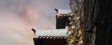 秦王宫景区24