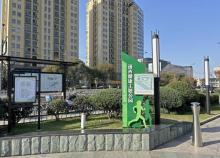 浦西公园3