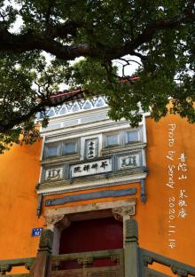 芥禅院4