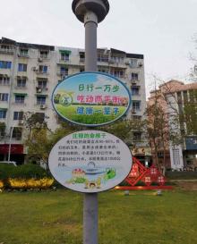 岛沁公园4