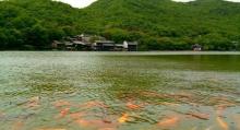 大佛岩景区3