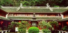 杨枝庵4