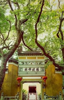 杨枝庵3