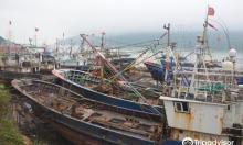 樟州湾1