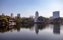 月湖公园14
