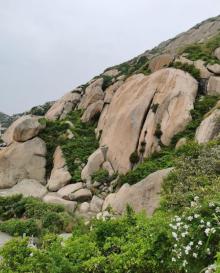 小洋山石龙景区3