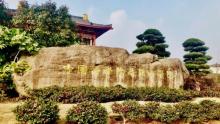 中国佛学院普陀山学院10