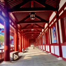 中国佛学院普陀山学院8