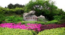 桃花峪景区4