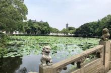 海印池3