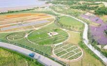 东海郊野公园20