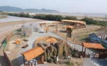东海郊野公园17