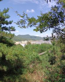 百步沙10