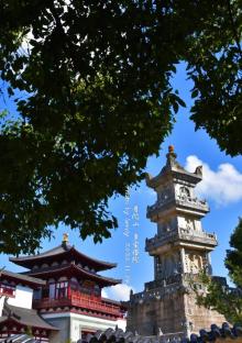 多宝塔4