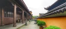紫竹林7