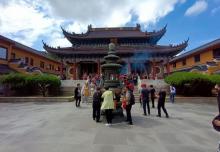 紫竹林15