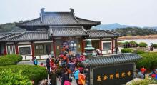 紫竹林26
