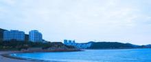 青浜岛14
