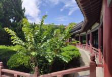 不肯去观音院14