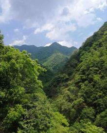 醉山野黄崖大峡谷28