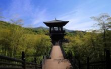 顾渚茶文化风景区1