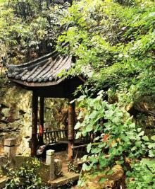 顾渚茶文化风景区4