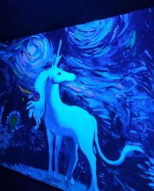 独角兽星空艺术馆12