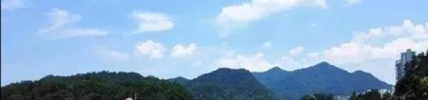 太平湖栈道公园5