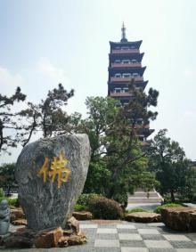 栖灵塔8