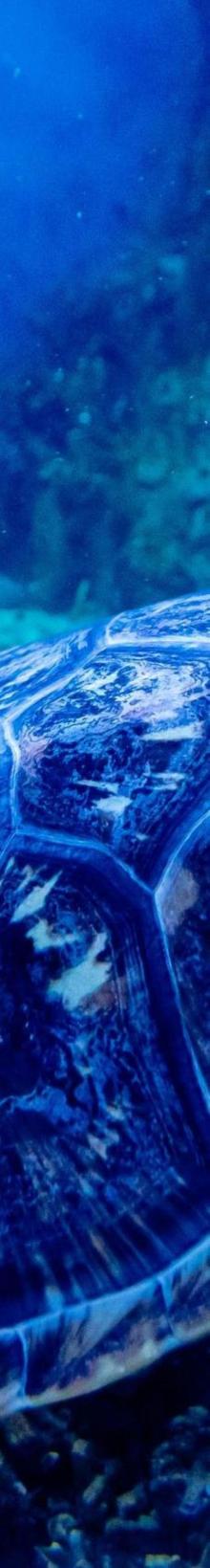 南京海昌海洋探索馆1
