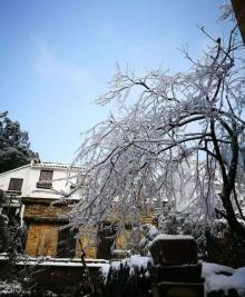 祖源村13