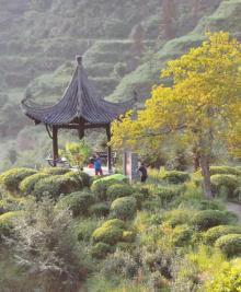 祖源村3