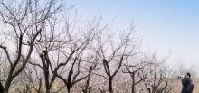 杏花村文化旅游区14