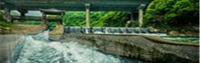 香溪漂流8