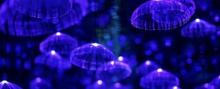 湖州梦幻星空艺术馆3