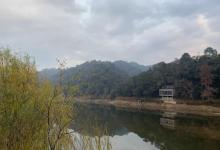 漳村10