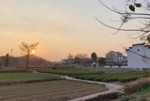 漳村11
