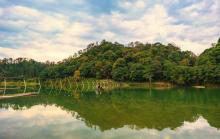 漳村2