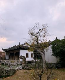 芥子园9