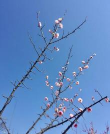 阳山碑材8