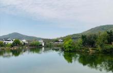 石塘竹海10