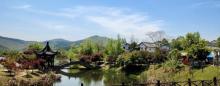 石塘竹海23