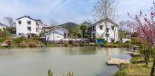 石塘竹海12