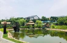石塘竹海8