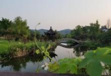 石塘竹海25