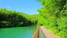 石塘竹海13