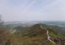 山8